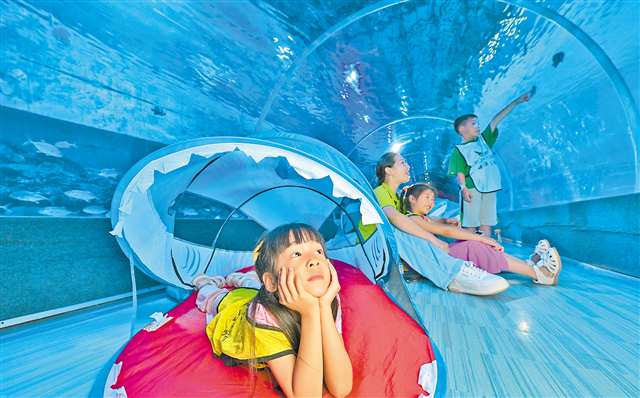 重庆伴伴科技有限公司 重庆伴伴科技有限公司