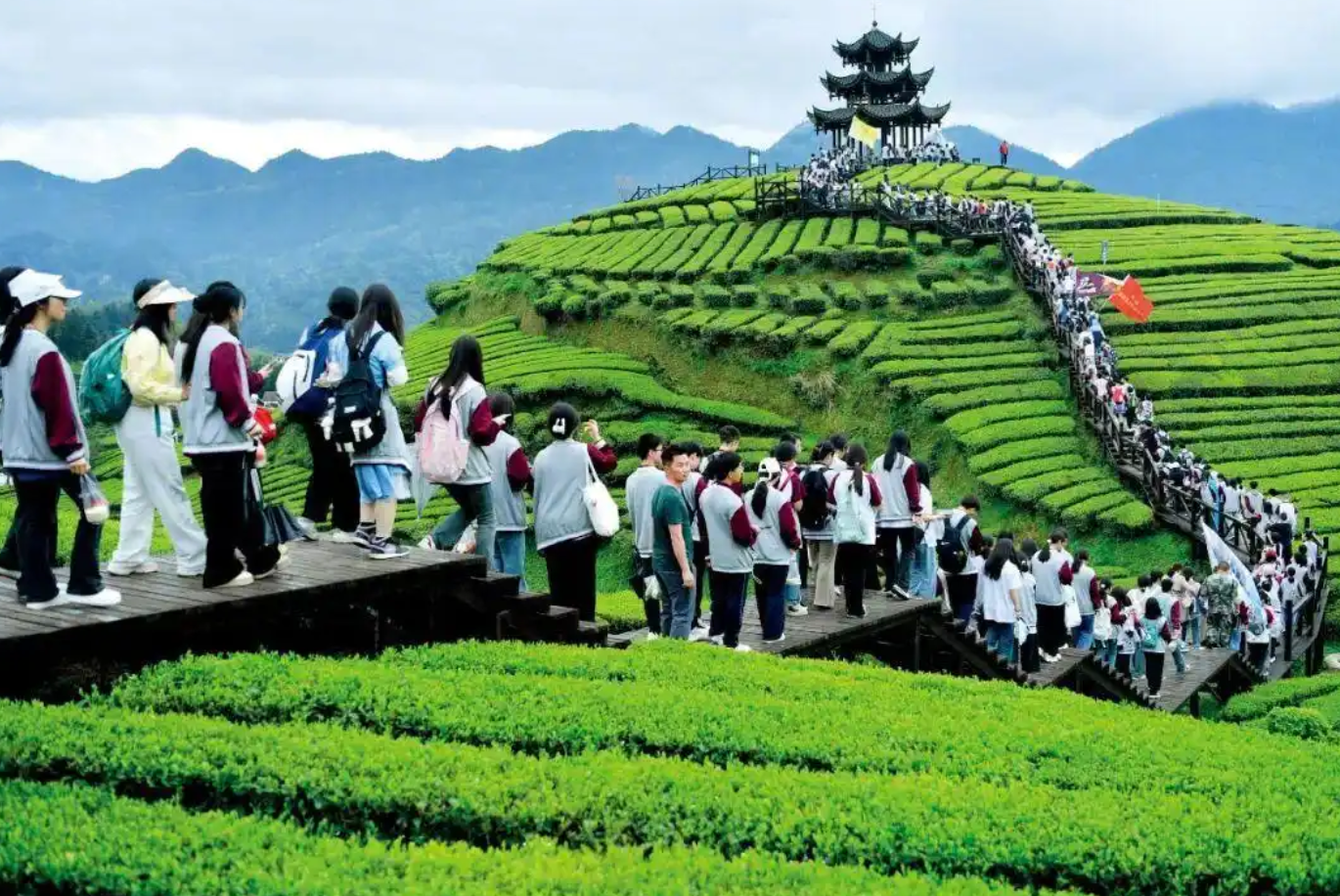 重庆伴伴科技有限公司