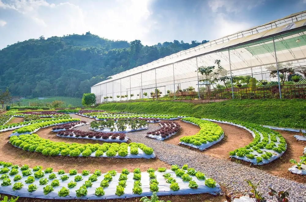 会员制家庭农场